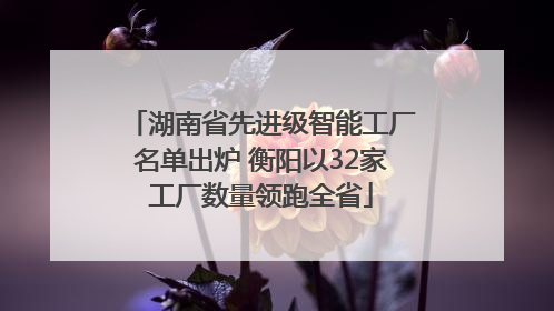 湖南省先进级智能工厂名单出炉 衡阳以32家工厂数量领跑全省