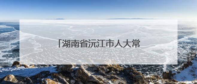 湖南省沅江市人大常委会党组书记、主任孟智勇接受审查调查