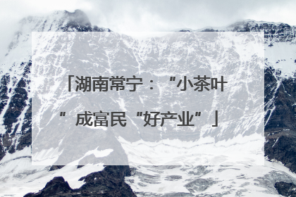 湖南常宁：“小茶叶”成富民“好产业”
