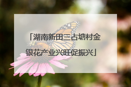 湖南新田三占塘村金银花产业兴旺促振兴