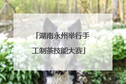 湖南永州举行手工制茶技能大赛
