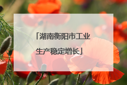湖南衡阳市工业生产稳定增长