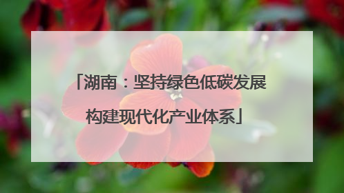 湖南：坚持绿色低碳发展 构建现代化产业体系