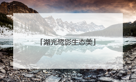 湖光鹭影生态美