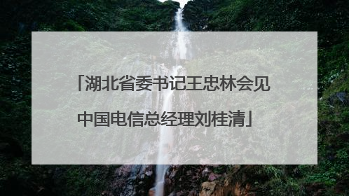 湖北省委书记王忠林会见中国电信总经理刘桂清