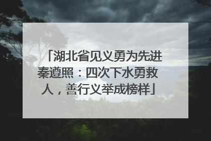 湖北省见义勇为先进秦遵照：四次下水勇救人，善行义举成榜样