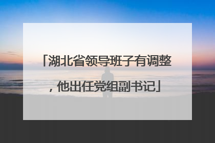 湖北省领导班子有调整，他出任党组副书记