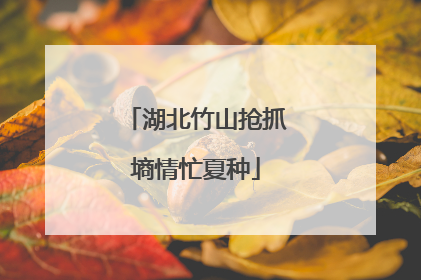 湖北竹山抢抓墒情忙夏种