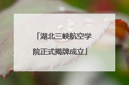 湖北三峡航空学院正式揭牌成立