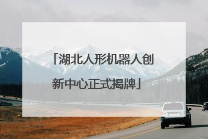 湖北人形机器人创新中心正式揭牌