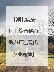 湖北咸安：国土综合整治助力打造现代农业高地