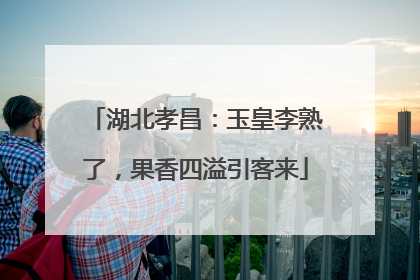 湖北孝昌：玉皇李熟了，果香四溢引客来