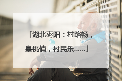 湖北枣阳：村路畅，皇桃俏，村民乐……