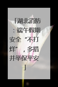 湖北消防：端午假期安全“不打烊”，多措并举保平安