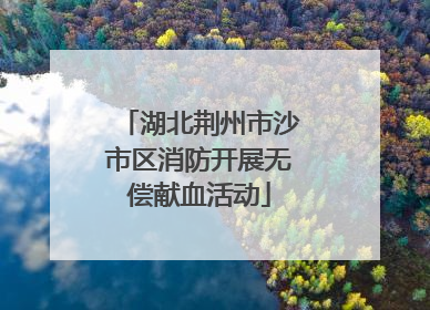湖北荆州市沙市区消防开展无偿献血活动