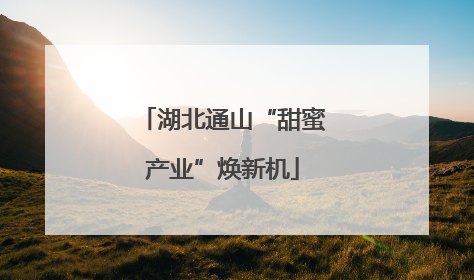 湖北通山“甜蜜产业”焕新机