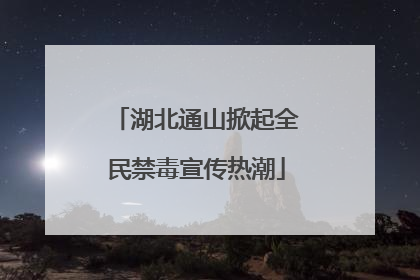 湖北通山掀起全民禁毒宣传热潮