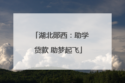 湖北郧西：助学贷款 助梦起飞