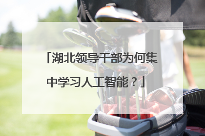 湖北领导干部为何集中学习人工智能？
