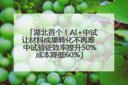 湖北首个！AI+中试让材料成果转化不再难 中试验证效率提升50%成本降低60%