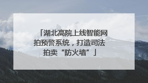 湖北高院上线智能网拍预警系统，打造司法拍卖“防火墙”