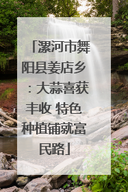漯河市舞阳县姜店乡：大蒜喜获丰收 特色种植铺就富民路