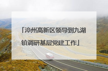 漳州高新区领导到九湖镇调研基层党建工作