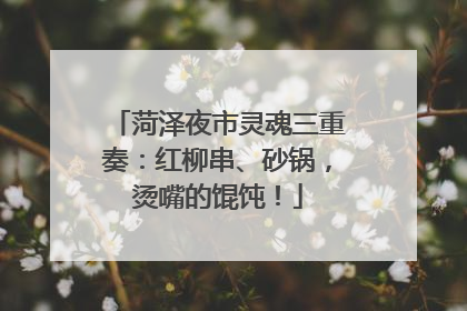 菏泽夜市灵魂三重奏：红柳串、砂锅，烫嘴的馄饨！