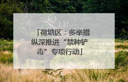 荷塘区：多举措纵深推进“禁种铲毒”专项行动