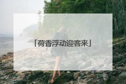 荷香浮动迎客来
