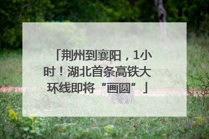 荆州到襄阳，1小时！湖北首条高铁大环线即将“画圆”