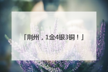 荆州，1金4银3铜！
