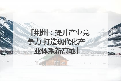 荆州：提升产业竞争力 打造现代化产业体系新高地