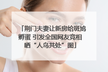 荆门夫妻让新房给斑鸠孵蛋 引发全国网友竞相晒“人鸟共处”图