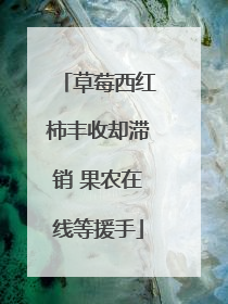 草莓西红柿丰收却滞销 果农在线等援手