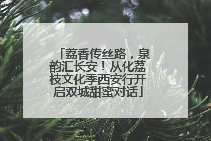 荔香传丝路，泉韵汇长安！从化荔枝文化季西安行开启双城甜蜜对话