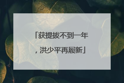 获提拔不到一年，洪少平再履新