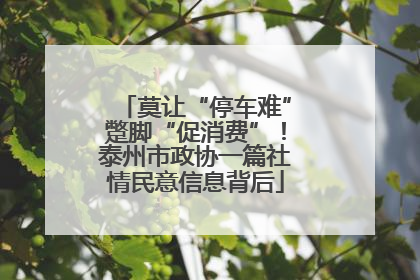 莫让“停车难”蹩脚“促消费”！泰州市政协一篇社情民意信息背后