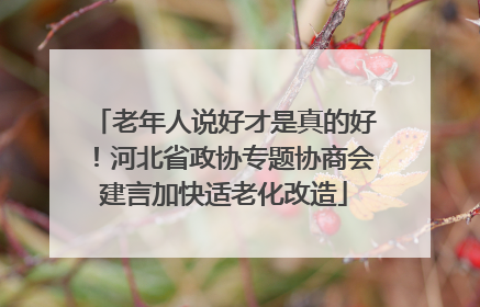 老年人说好才是真的好！河北省政协专题协商会建言加快适老化改造