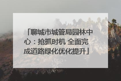 聊城市城管局园林中心：抢抓时机 全面完成道路绿化优化提升