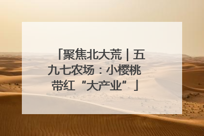 聚焦北大荒｜五九七农场：小樱桃带红“大产业”