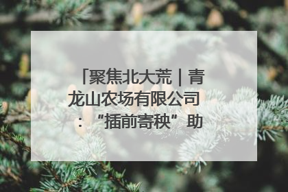 聚焦北大荒｜青龙山农场有限公司：“插前寄秧”助力农业节本增效