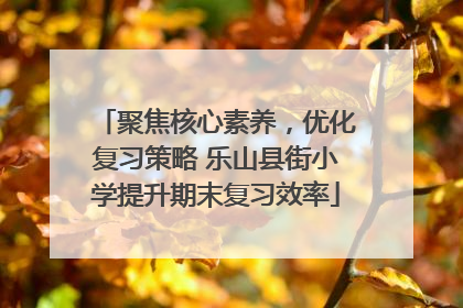 聚焦核心素养，优化复习策略 乐山县街小学提升期末复习效率