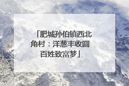 肥城孙伯镇西北角村：洋葱丰收圆百姓致富梦