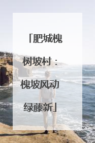 肥城槐树坡村：槐坡风动绿藤新