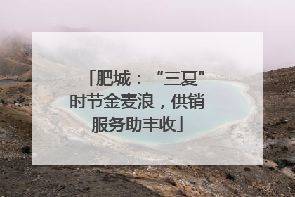 肥城：“三夏”时节金麦浪，供销服务助丰收