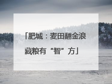 肥城：麦田翻金浪藏粮有“智”方