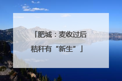 肥城：麦收过后秸秆有“新生”