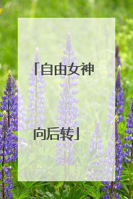 自由女神向后转