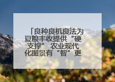 良种良机良法为夏粮丰收提供“硬支撑” 农业现代化图景有“智”更有“质”